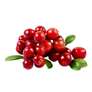 Fresh Cranberry Imported in Islamabad