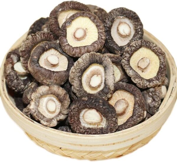 Dry Mushroom Fresh Imported Ha Traders