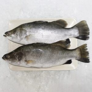 Daangri Fresh Fish